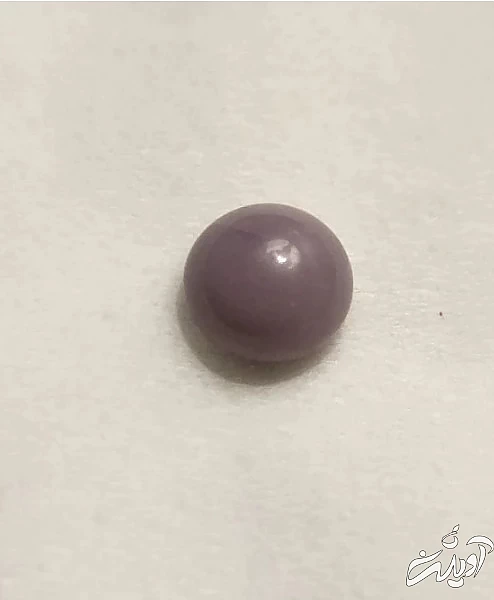 مشتری خوش‌شانس یک مروارید بنفش کمیاب در غذای خود پیدا کرد/ تصاویر